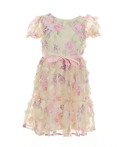 Rare Editions Little Girls 2T-6X Floral-Printed/Three-Dimensional-Flower-Appliqued Fit-And-Flare Dress