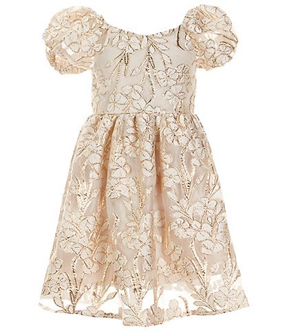 Rare Editions Little Girls 2T-6X Puffed-Sleeve Burnout Organza Babydoll Dress