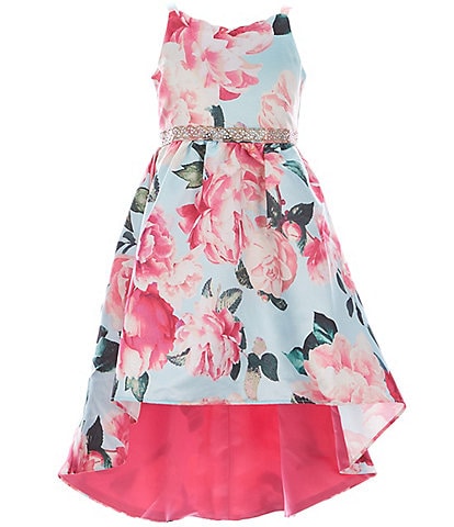 Rare Editions Little Girls 2T-6X Sleeveless Floral-Printed Satin Fit-And-Flare Dress