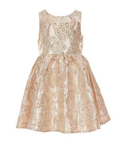Rare Editions Little Girls 2T-6X Sleeveless Metallic Brocade A-Line Dress