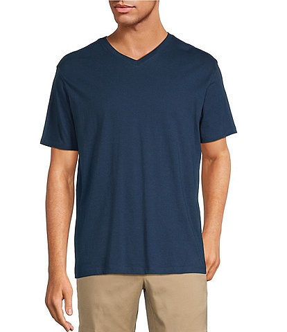 Roundtree & Yorke Big & Tall Solid Cloud Short Sleeve V-Neck T-Shirt