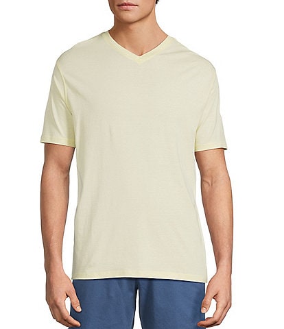 Roundtree & Yorke Solid Cloud Short Sleeve V-Neck T-Shirt