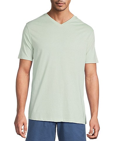 Roundtree & Yorke Solid Cloud Short Sleeve V-Neck T-Shirt
