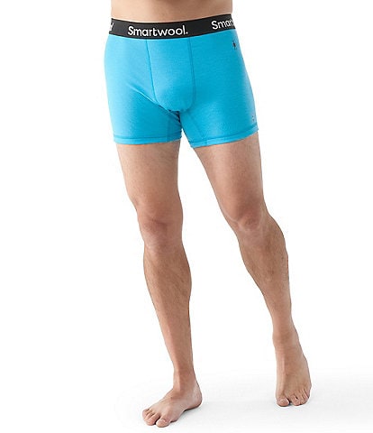 SmartWool Active Boxer Briefs