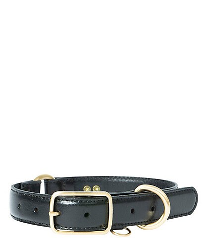 Southern Living Classic Leather Dog Collar