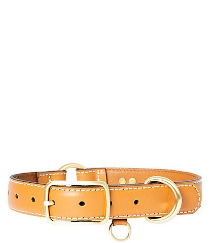 Southern Living Classic Leather Dog Collar