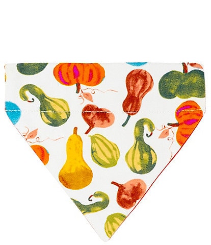 Southern Living Festive Fall Collection Reversible Pumpkin Spice Pet Bandana