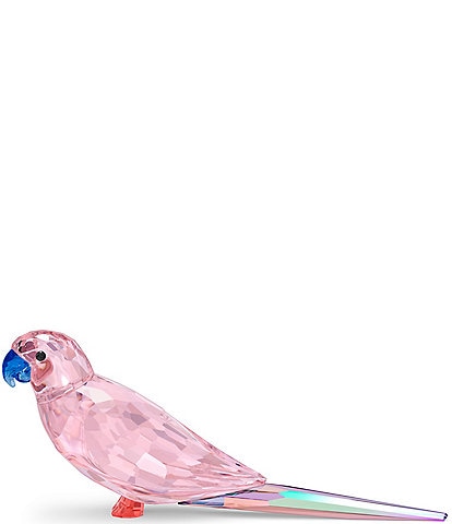 Swarovski Jungle Beats Pink Parakeet Cha Cha