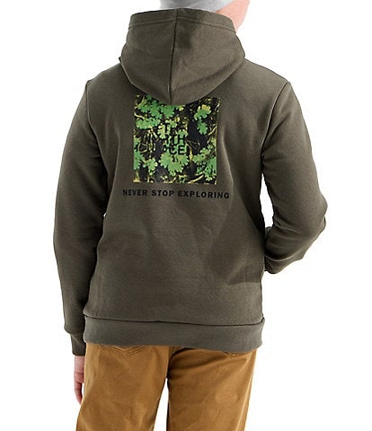 The North Face Big Kids Evolution Box NSE Graphic Pullover Hoodie