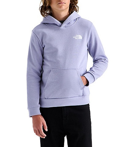 The North Face Big Kids Evolution Box NSE Pullover Hoodie