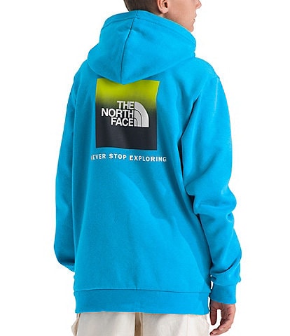 The North Face Big Kids Evolution Box NSE Pullover Hoodie