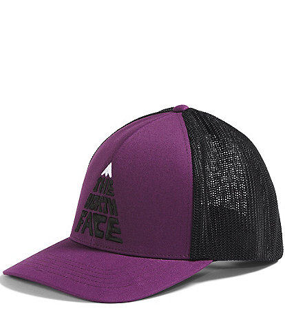 The North Face Flex Fit Truckee Trucker Hat