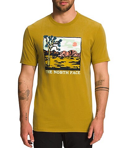 The North Face Graphic Injection Short-Sleeve Tee