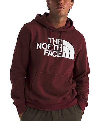 The North Face Half Dome Pullover Graphic Hoodie