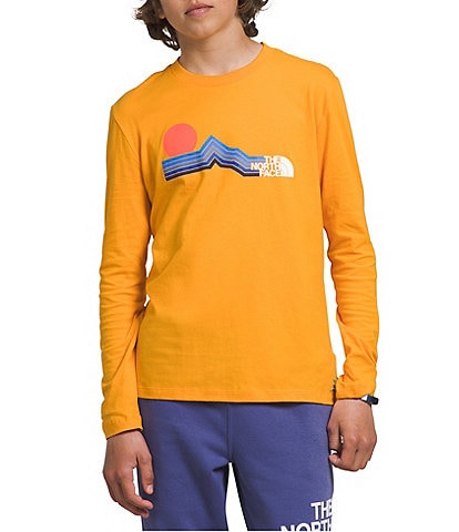 The North Face Little/Big Boys 5-20 Long Sleeve Pullover Summit Logo Tee