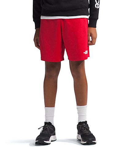 The North Face Little/Big Boys 6-16 Never Stop Shorts