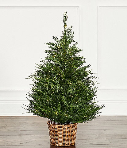 Trimsetter 3-ft. Pre-Lit Cypress Tree in Basket