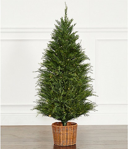 Trimsetter 4-ft. Pre-Lit Cypress Tree In Basket