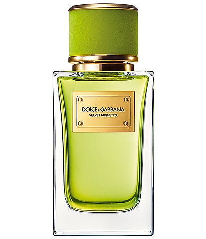 Dolce & Gabbana Velvet Infusion Eau de Parfum | Dillard's