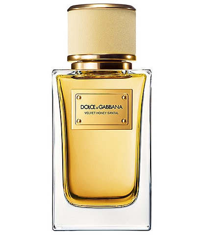 Dolce & Gabbana Velvet Infusion Eau de Parfum | Dillard's