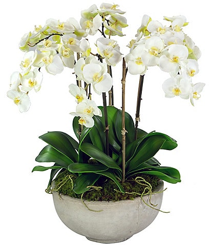 Winward Permanent Botanicals White Orchids In Ceramic Bowl