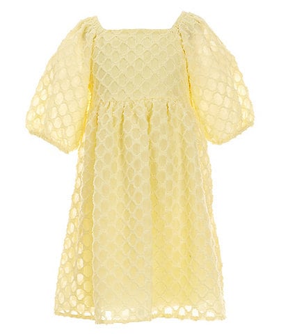 Xtraordinary Big Girls 7-16 Clip-Dot Textured Babydoll Dress