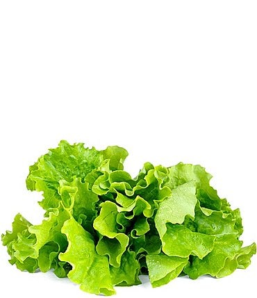 Image of Click and Grow Green Lettuce Plant Pods, 9-Pack