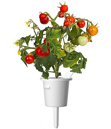 Image of Click and Grow Mini Tomatoes Plant Pods, 9-Pack