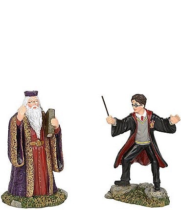 Image of Department 56 Harry Potter Harry and the Headmaster Figurine