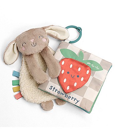 Image of Itzy Ritzy Itzy Learn & Snuggle Gift Set