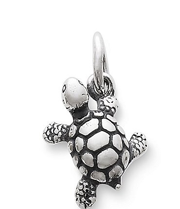 Image of James Avery Turtle Charm