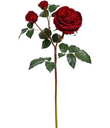 Image of Mark Roberts Cabbage Rose Red, Boxed Set of 12