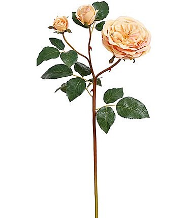Image of Mark Roberts Cabbage Rose Yellow, Boxed Set of 12