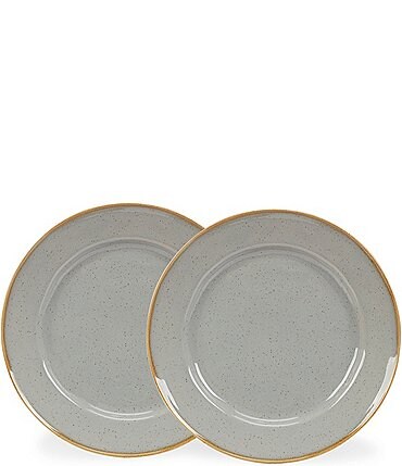 Image of Noble Excellence Astoria Collection Speckled Glaze Dinner Plates, Set of 2