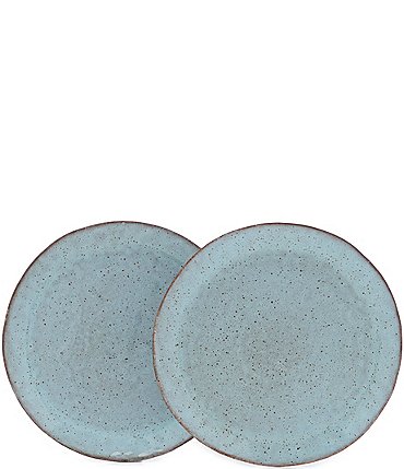 Image of Southern Living Astra Collection Glazed Dinner Plate, Set of 2