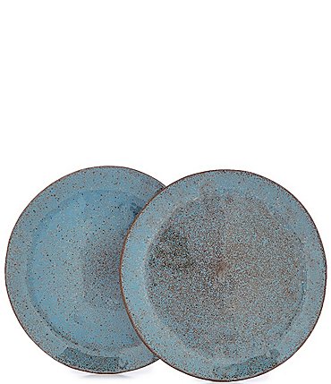 Image of Southern Living Astra Teal Dinner Plate, Set of 2