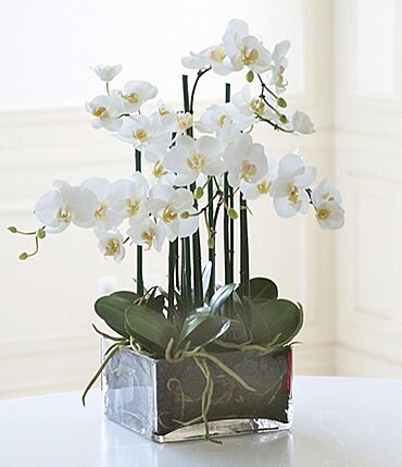 Image of Winward Faux Flowers Phalaenopsis In Square Glass Vase