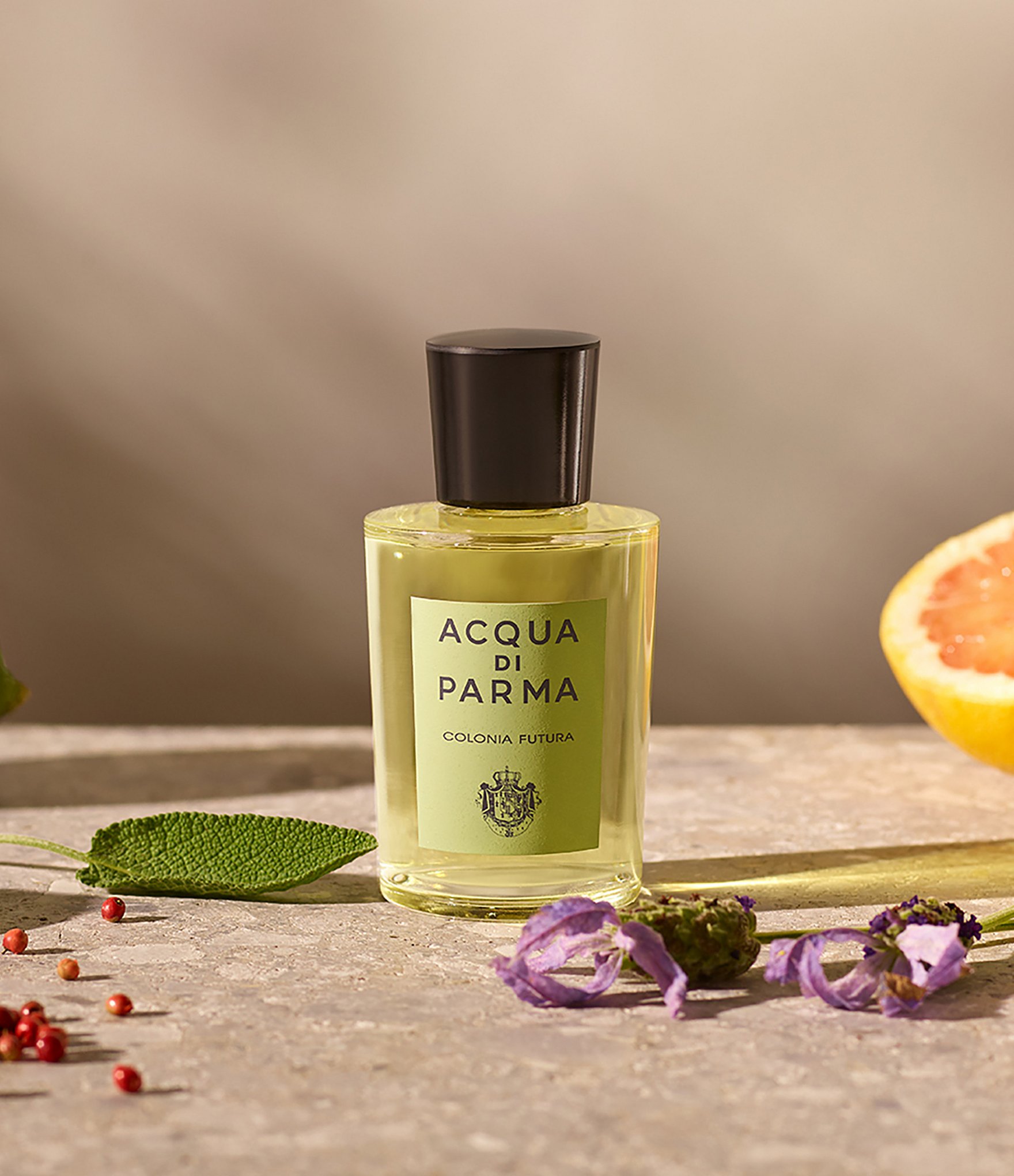 Acqua di Parma Colonia Futura Eau De Cologne