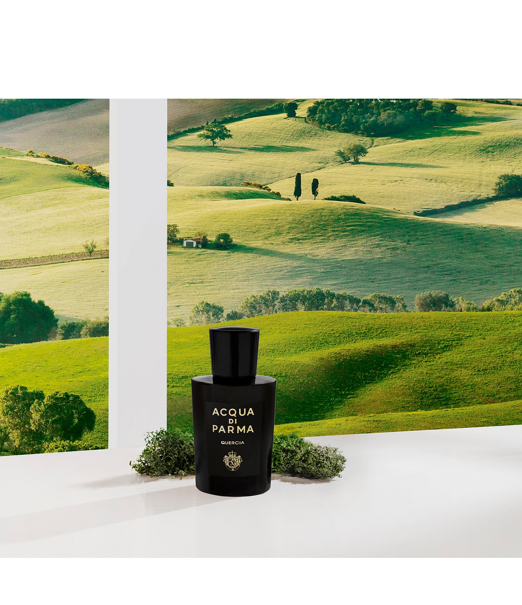 Acqua di Parma Quercia Eau de Parfum