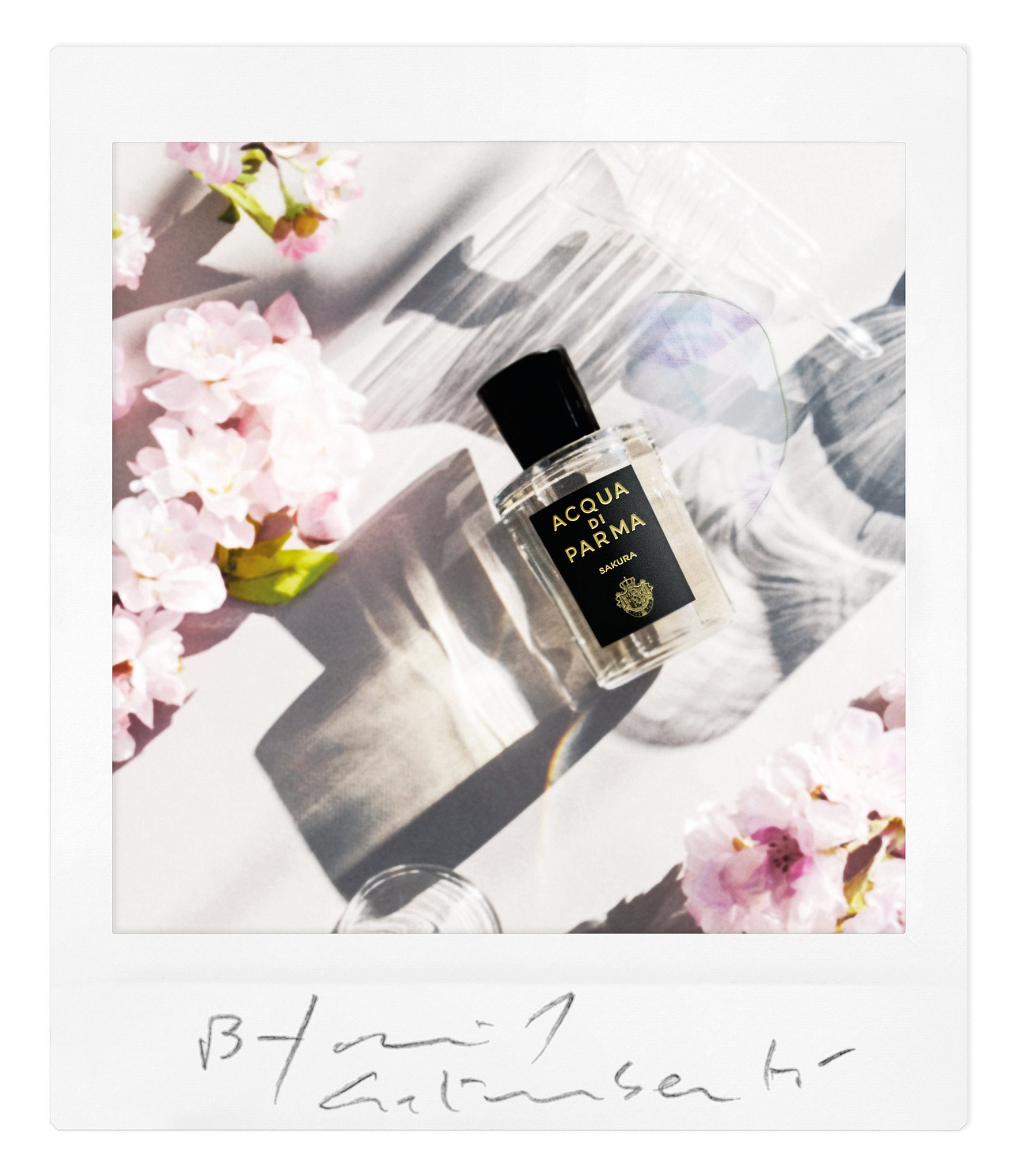 Acqua di Parma Signatures of the Sun Sakura Eau de Parfum