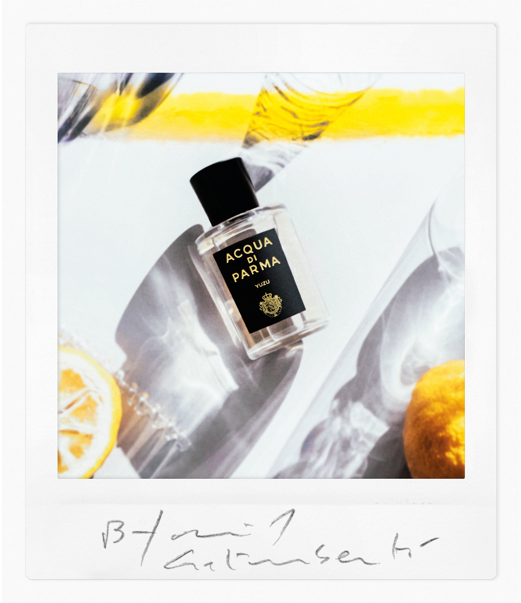 Acqua di Parma Signatures of the Sun Yuzu Eau de Parfum