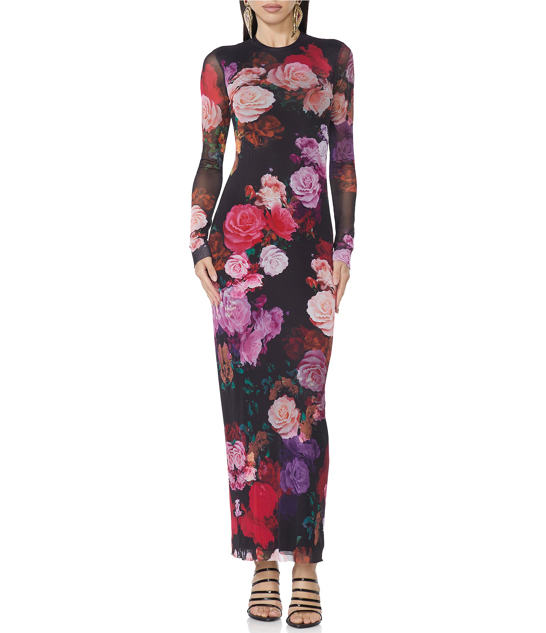 AFRM Didi Rose Printed Crew Neck Long Sleeve Mesh Maxi Dress