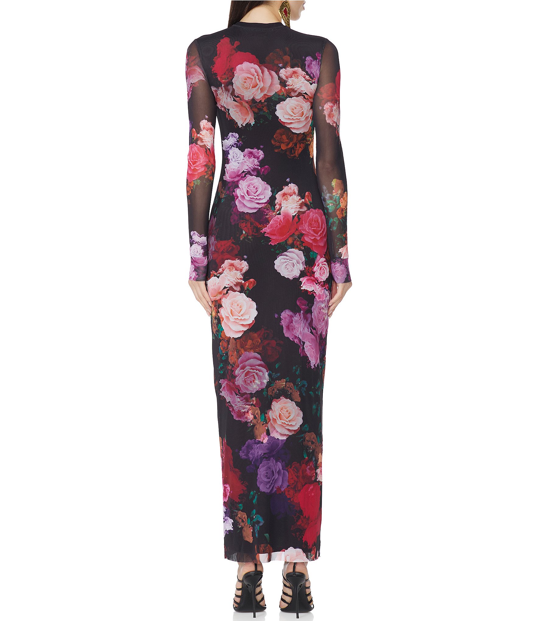 AFRM Didi Rose Printed Crew Neck Long Sleeve Mesh Maxi Dress