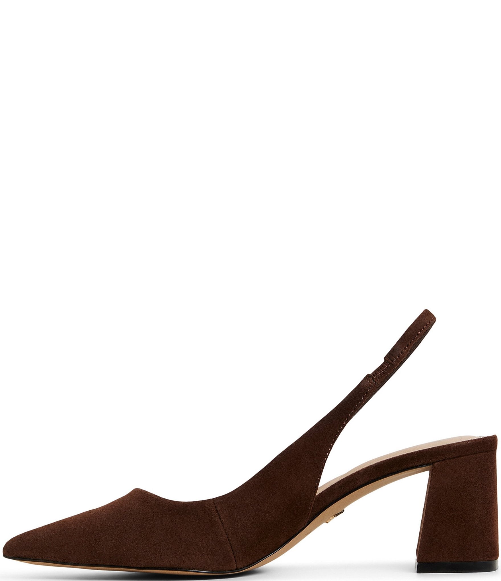 ALDO Uliana Suede Pointed Toe Slingback Pumps
