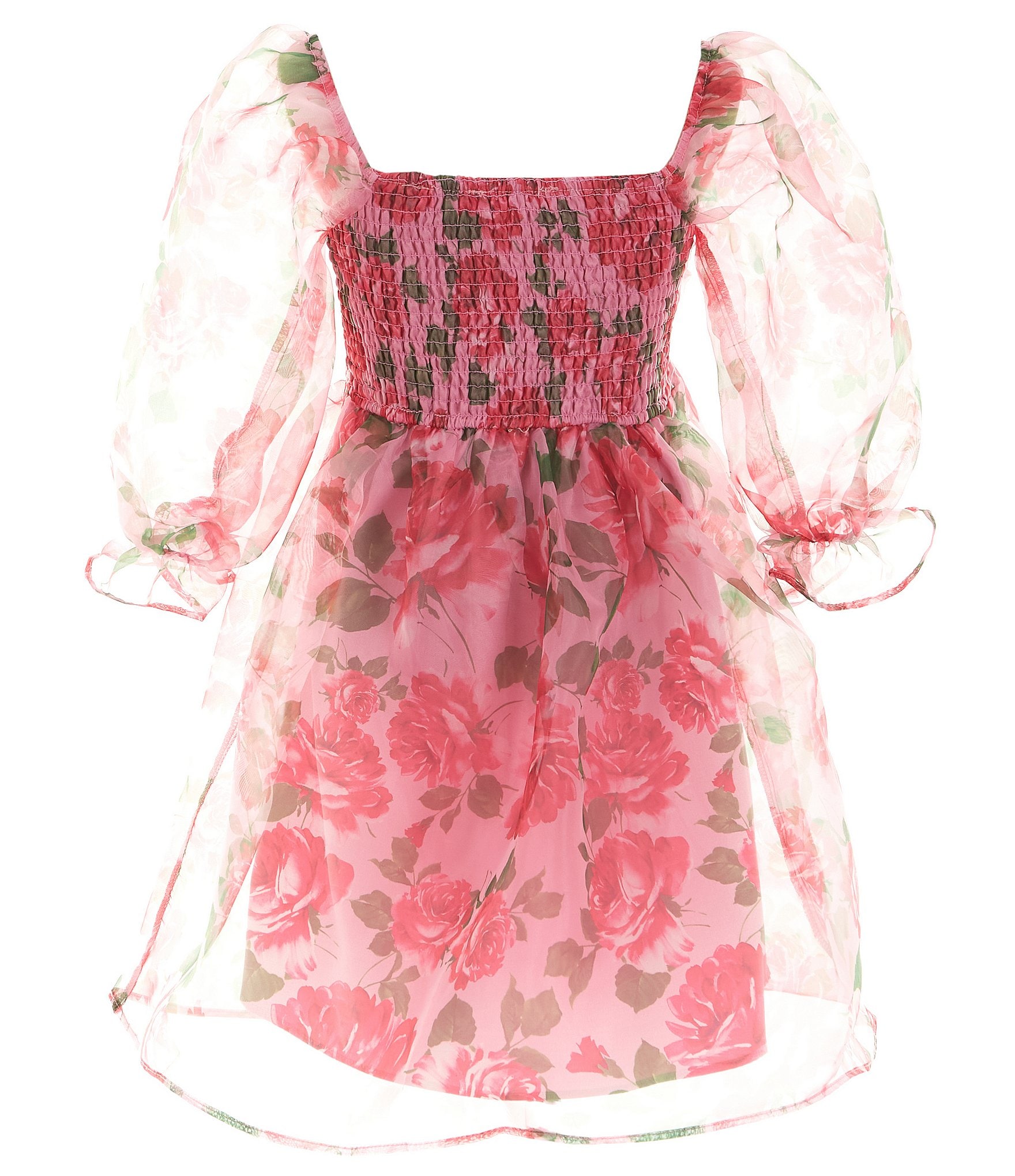 Allison & Kelly Big Girls 7-16 Long-Sleeve Floral Printed Organza Babydoll Dress