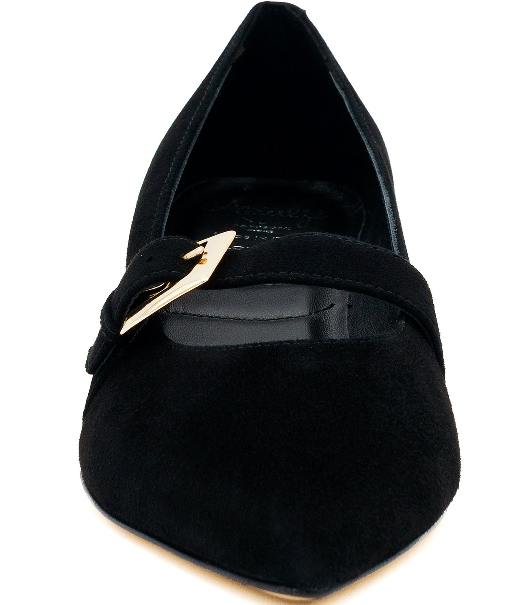 Amalfi Abito Suede Buckle Strap Kitten Heel Pumps