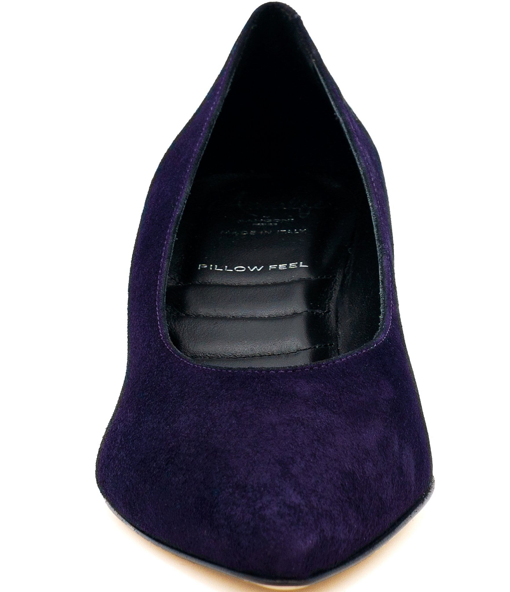 Amalfi Panorama Suede Pointed Toe Block Heel Pumps