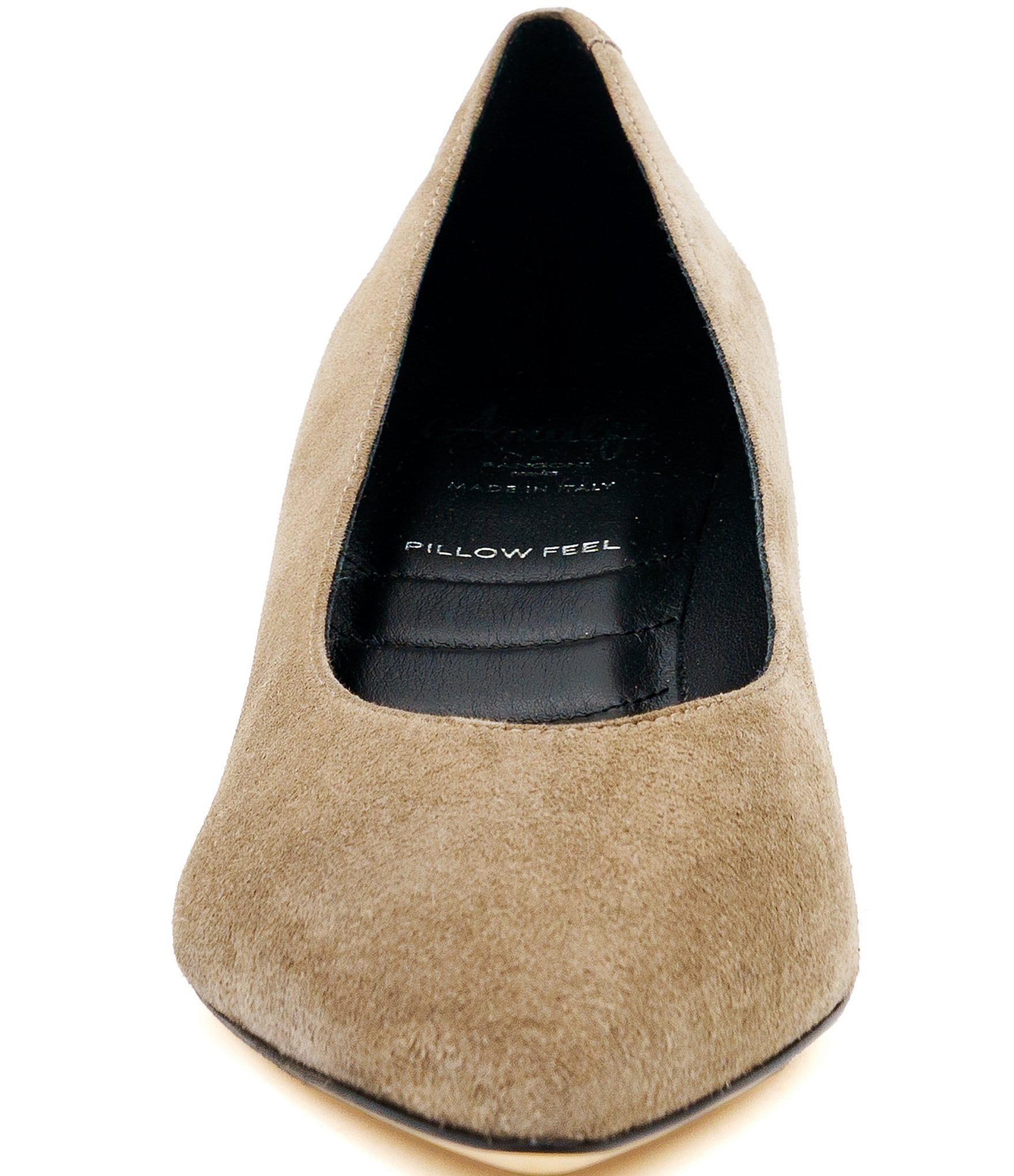Amalfi Panorama Suede Pointed Toe Block Heel Pumps