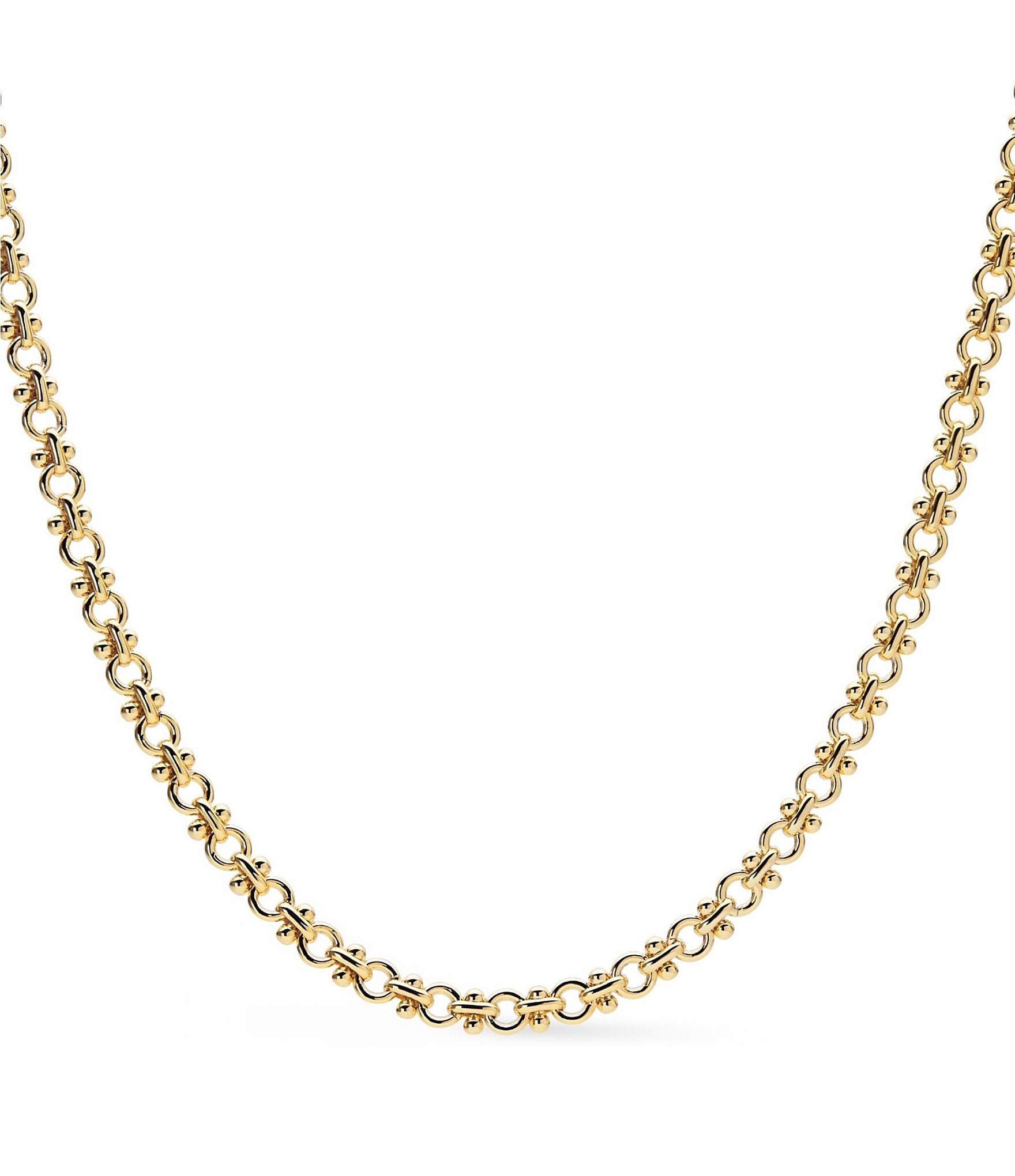 Ana Luisa Hayden Thick Chain Necklace