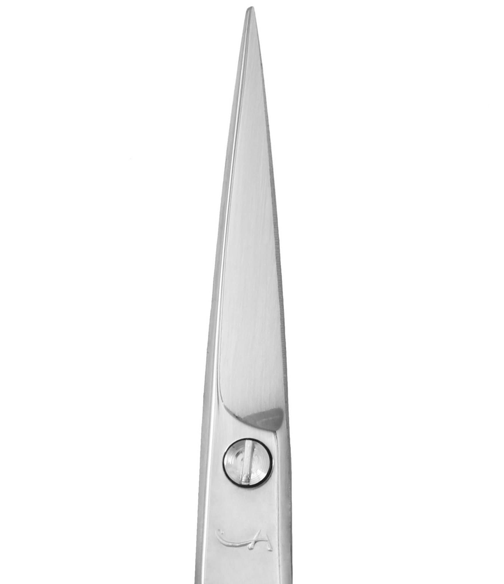 Anastasia Beverly Hills Scissors